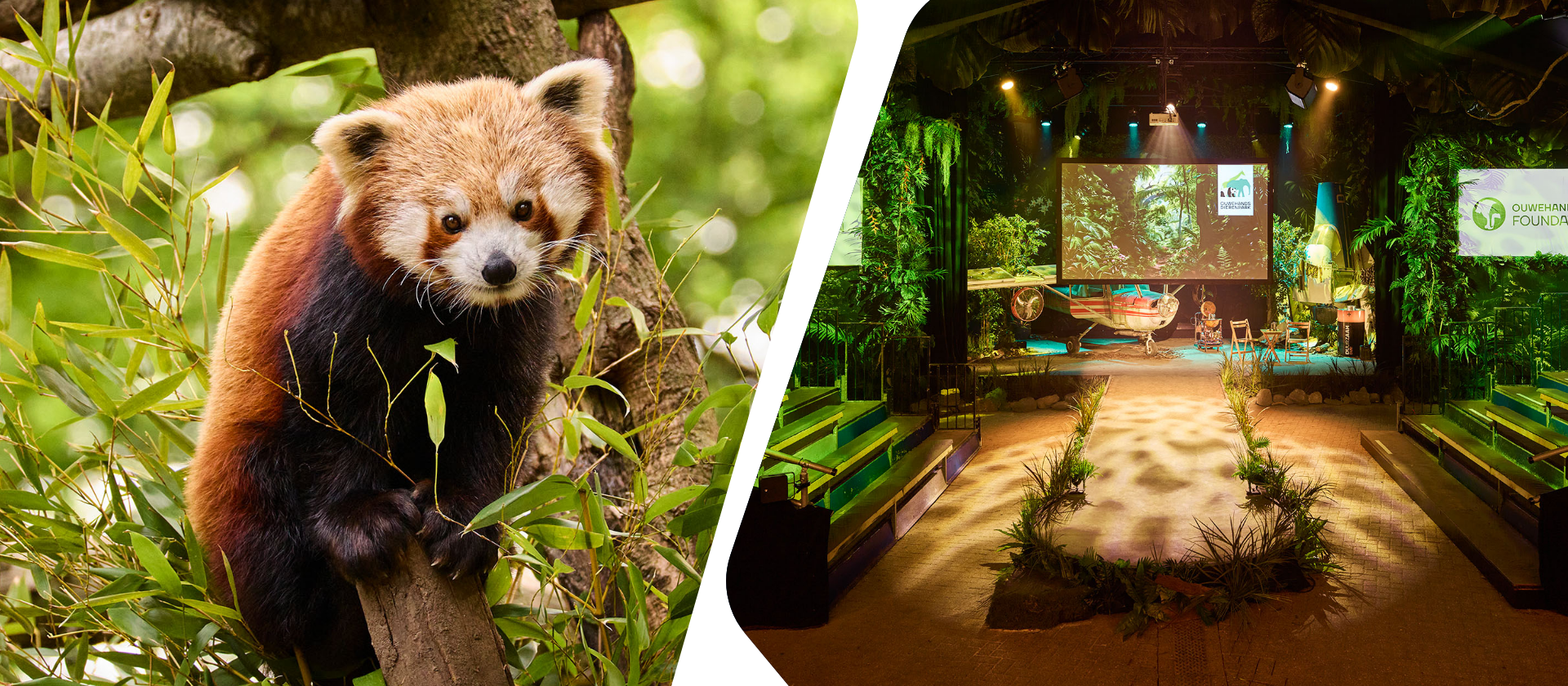 Locatie Het Groene Theater