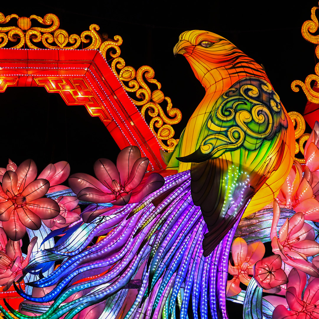 China Light Festival Ouwehands Dierenpark