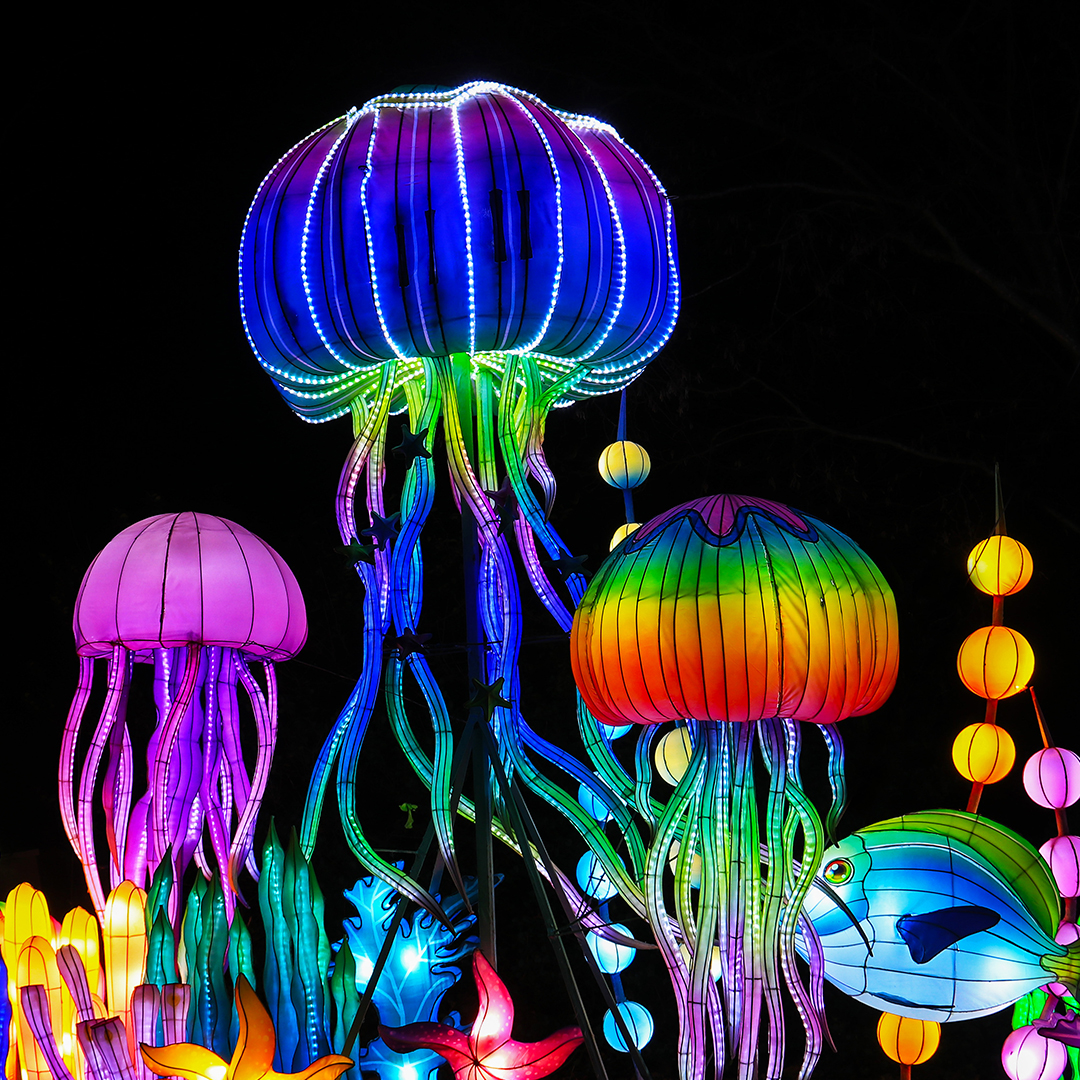 China Light Festival Ouwehands Dierenpark