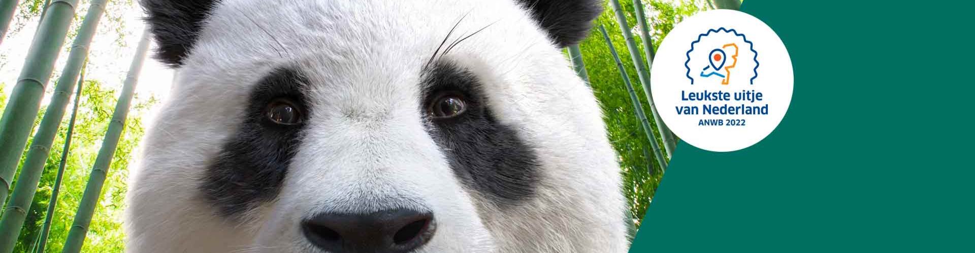 banner Stem je mee?