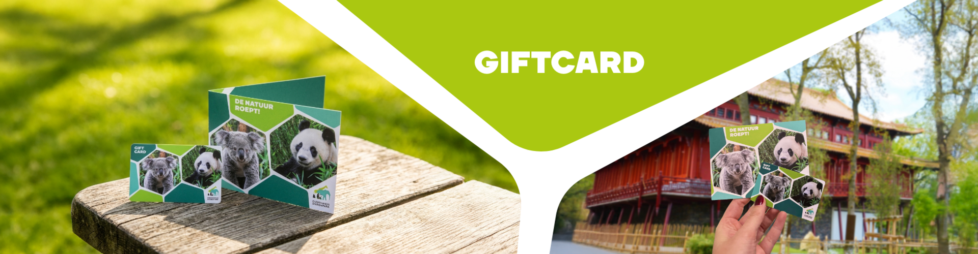 banner Giftcard header