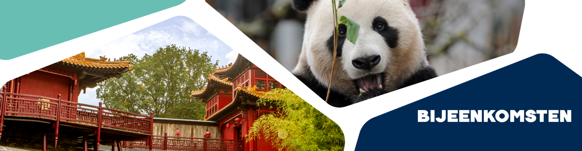 banner Header Bijeenkomst