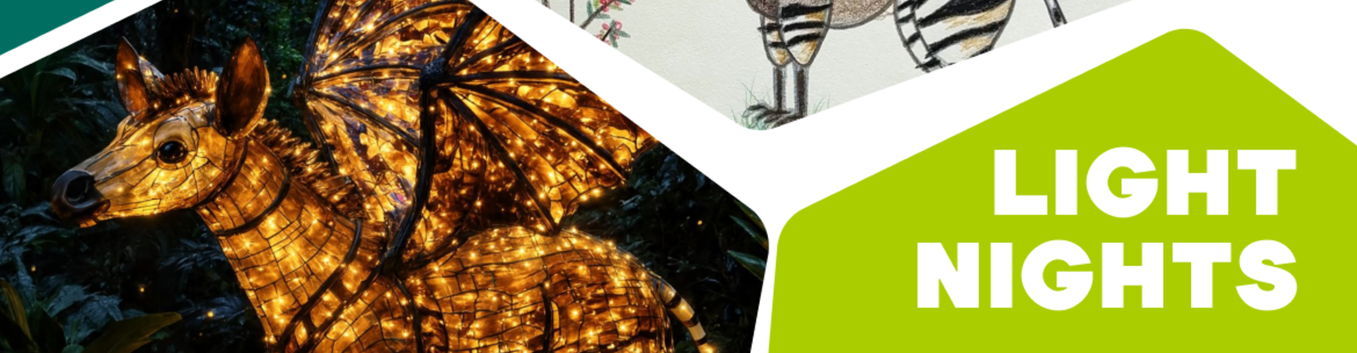 banner tekenwedstrijd light nights 26