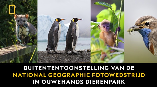 Foto expositie preview National Geographic in Ouwehands Dierenpark